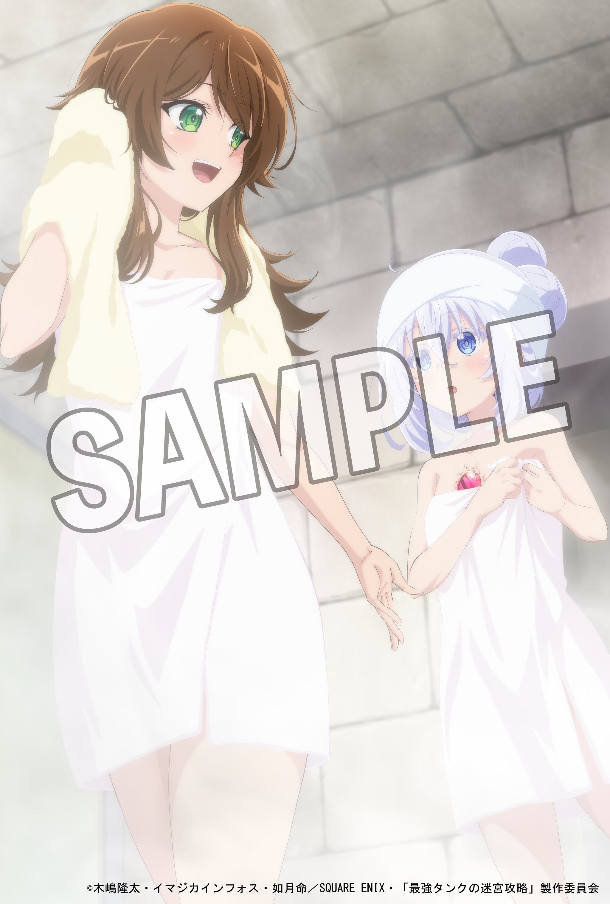 TVアニメ『最強タンクの迷宮攻略～体力9999のレアスキル持ち