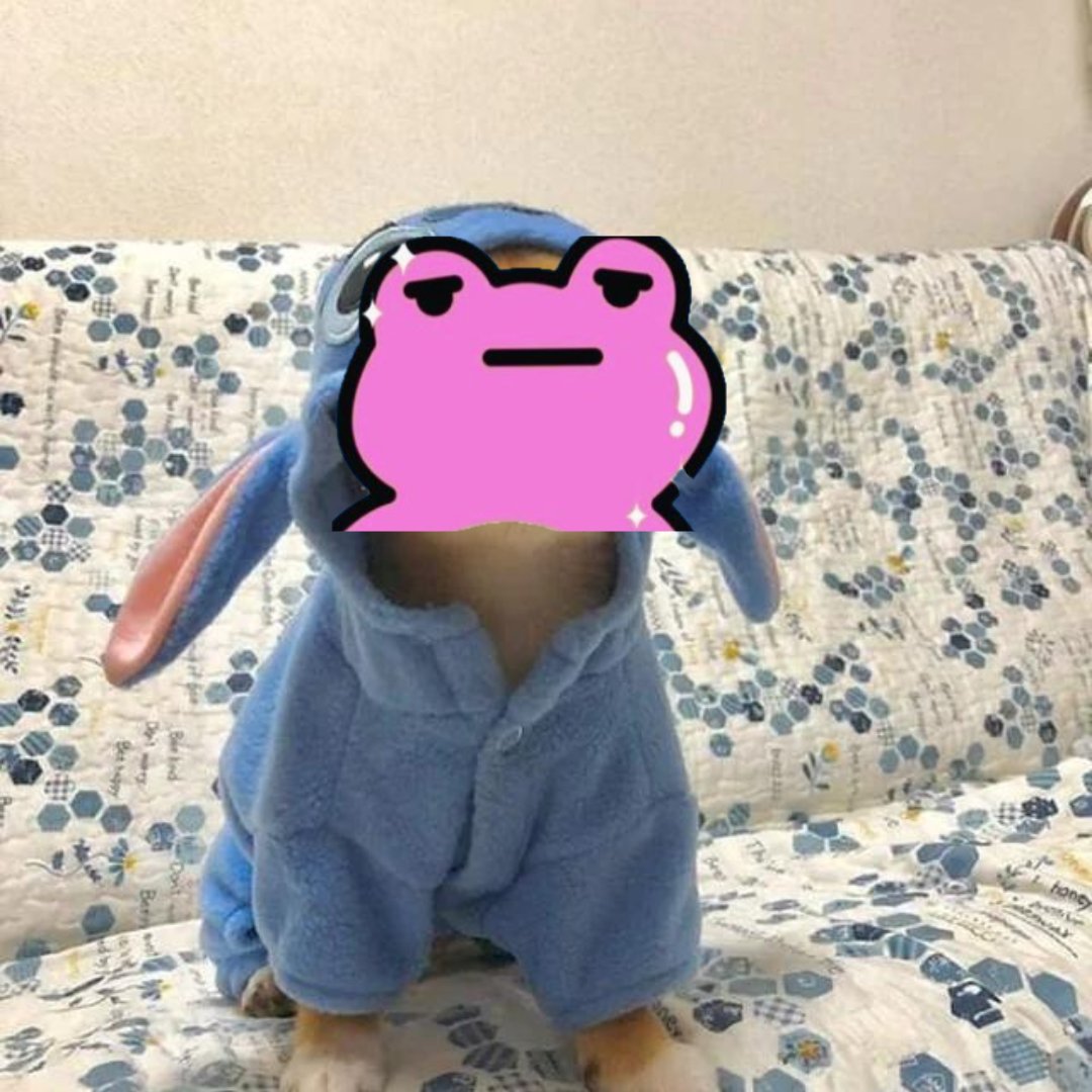 Stitchu tweet media