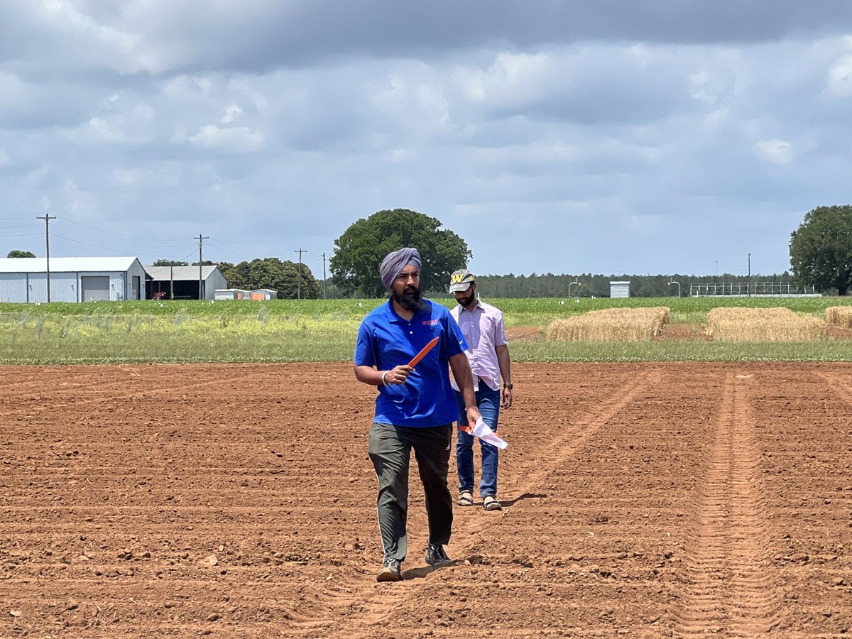 Satinder tweet media