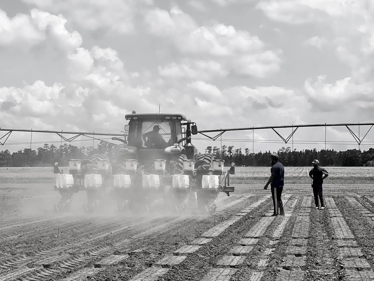 Satinder tweet media