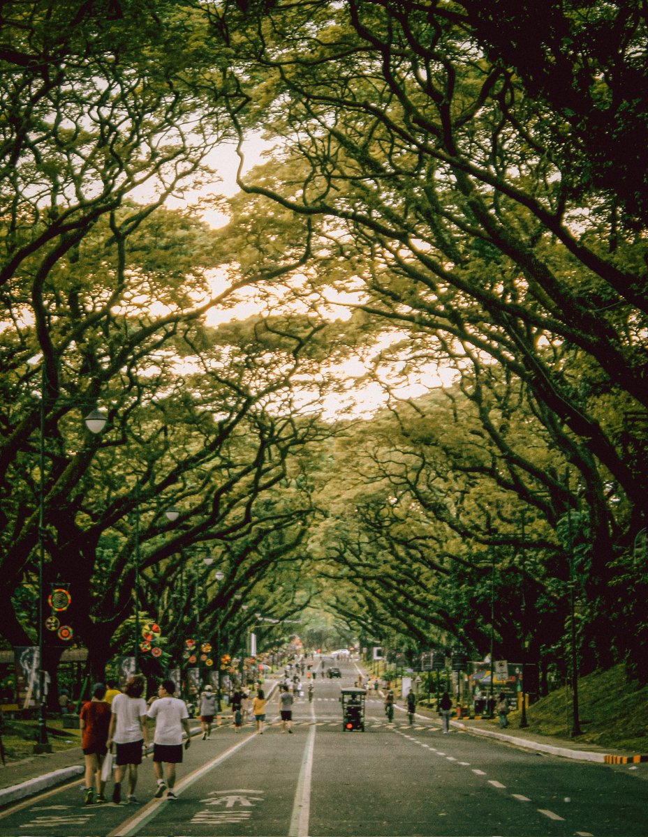 imahelente's tweet photo. noong ako'y napadpad sa UP

decided na ire-edit 'tong mga kuha ko
#photograghy https://t.co/I71rElY8v9
