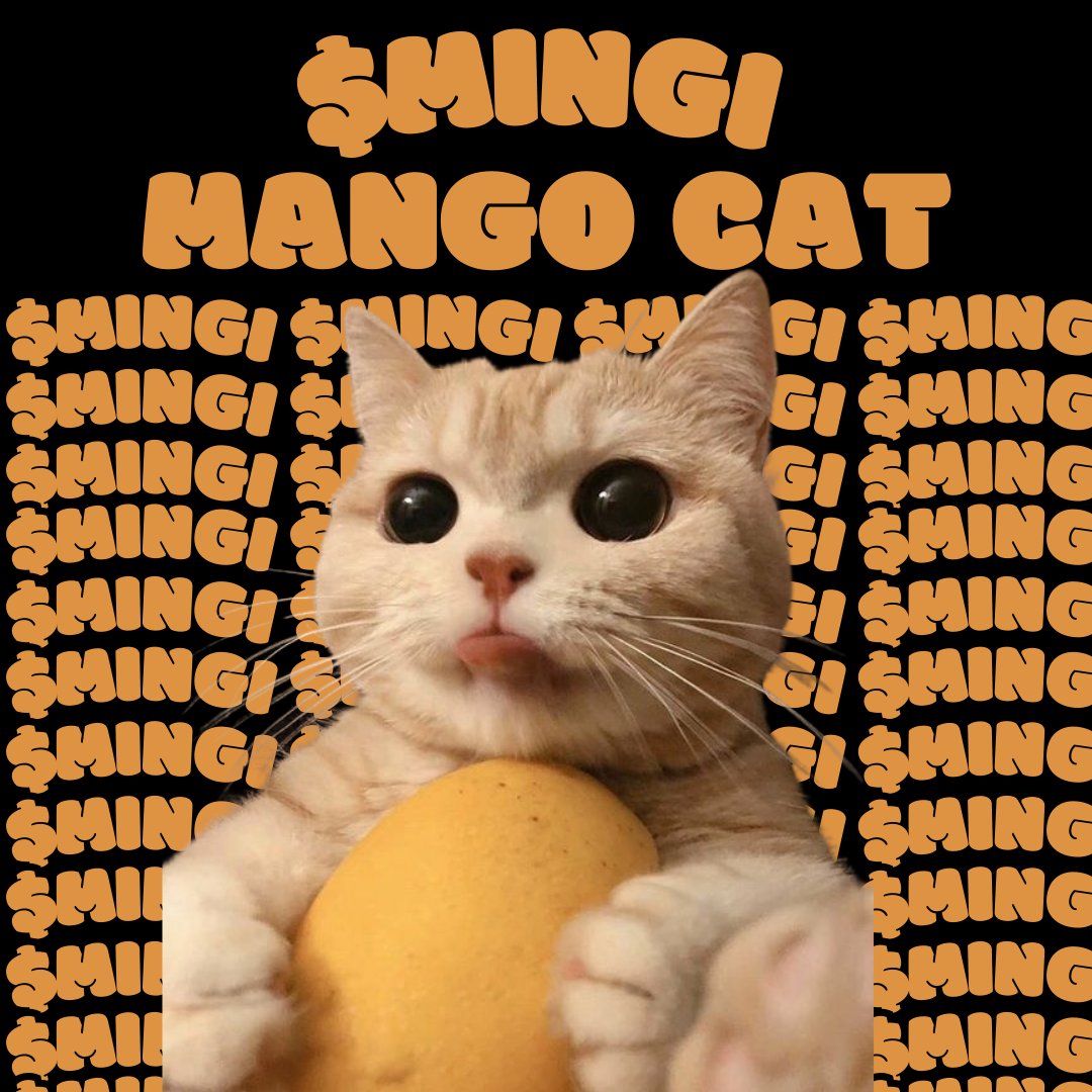 I'm the cat with a mango, backed by 290 supporters on TG. 
$MINGI is the new $MICHI!
CA:BQDmr3Mko9tMKWvj7NvWmCHY2hRVA5ufGMkLAvrcHpxQ