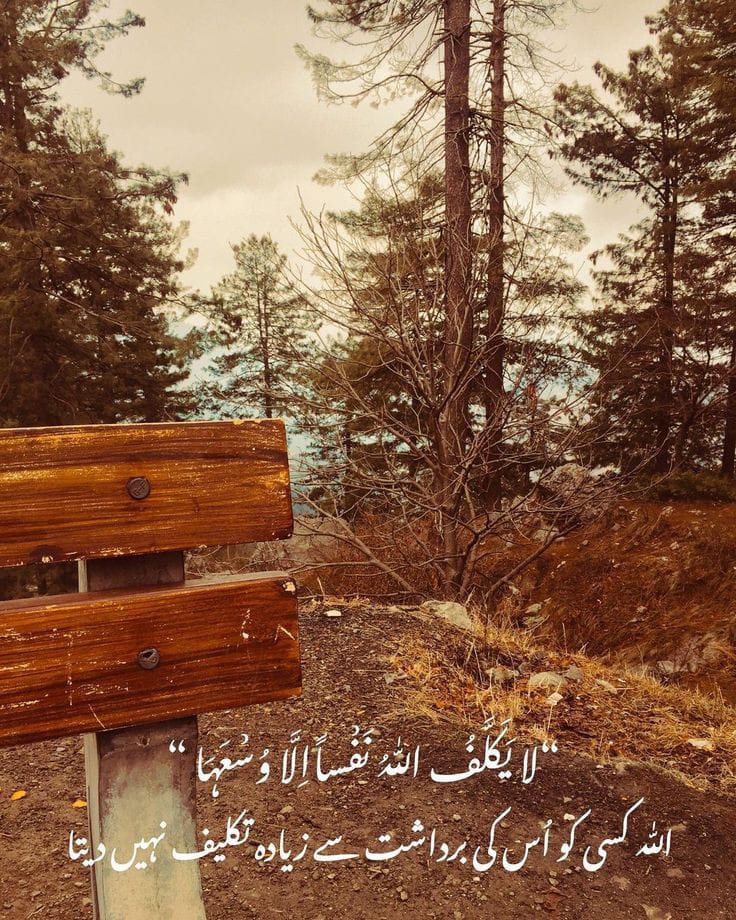 السلام علیکم 😇
صبح بخیر 💐

.
#MorningVibes