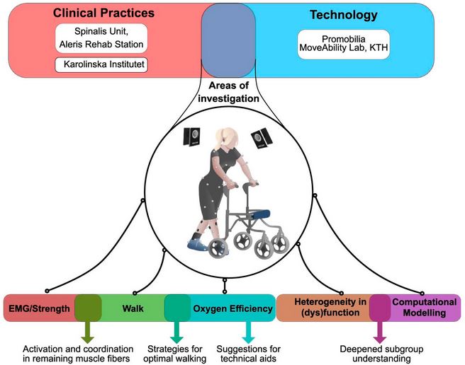 #newpaper 👏Elena M. Gutierrez-Farewik et al. | A #Protocol for Comprehensive Analysis of #Gait in Individuals with Incomplete #SpinalCordInjury 👉mdpi.com/2409-9279/7/3/… #ambulation #movementanalysis #machinelearning #EMG #predictivemodeling