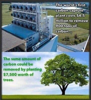 Hey environmental morons and wackos…how about we just plant more trees? All CO2 crap is BS