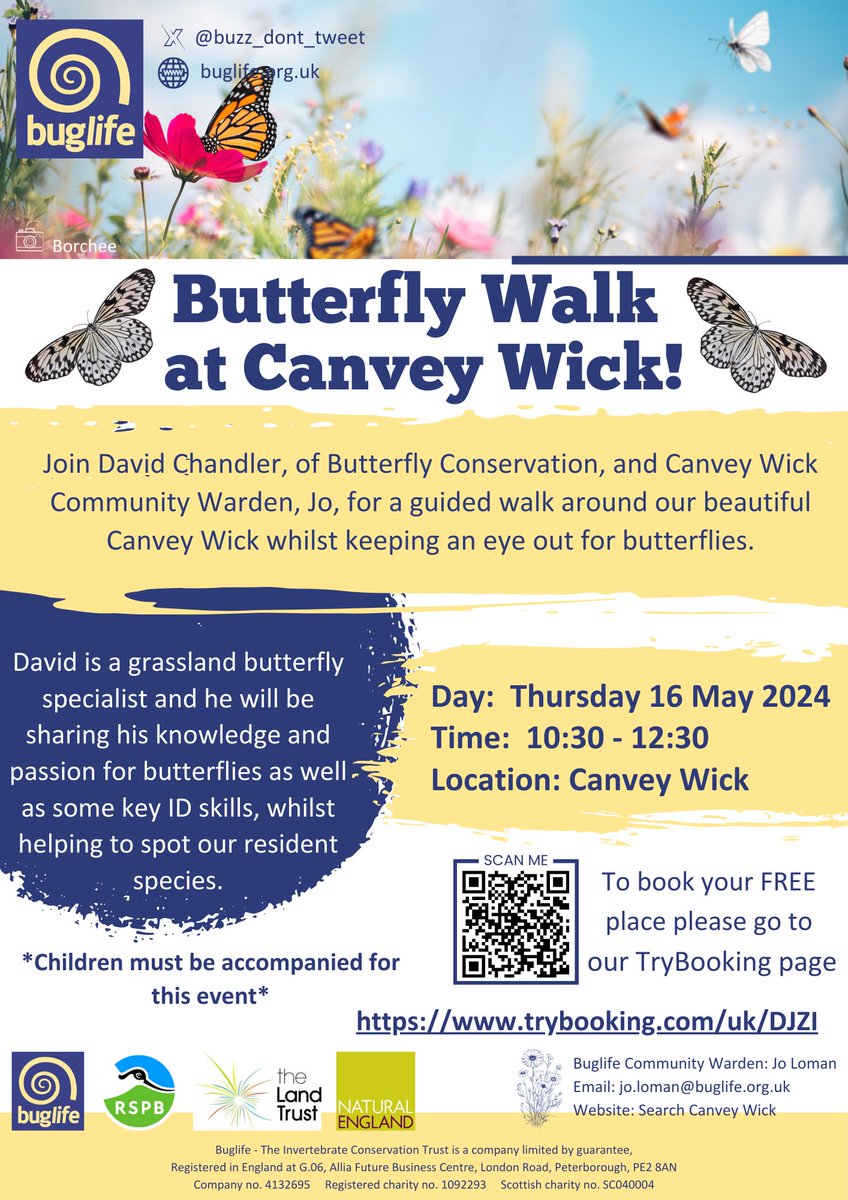 Join #CanveyWick Community Warden, Jo, & David Chandler, of @savebutterflies, for a guided butterfly walk. 🗓️ Thursday 16 May 🕙 10:30-12:30 📌 Canvey Wick, SS8 0PT ℹ️ Book your FREE place ➡️trybooking.com/uk/DJZI