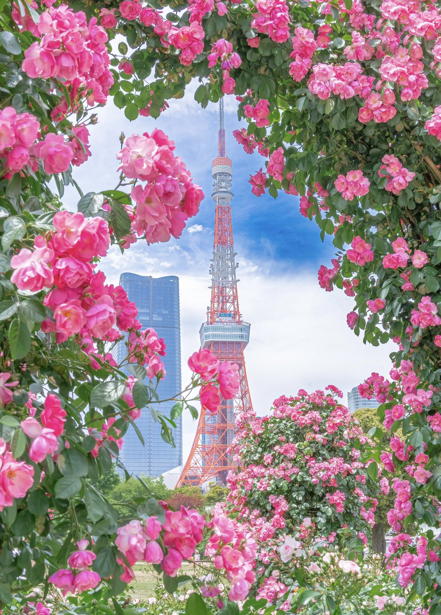 バラに包まれた東京タワーが楽園のようだった