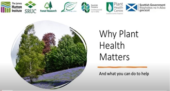 📢Want to know why plant health matters? Check out the link below 👇 for insights & advice from experts in plant health. #planthealthweek @ScotGovSASA @PlantHealthScot @scotforestry @ForestResearch @SRUC🌿🌳 youtube.com/watch?v=_uK-hA…