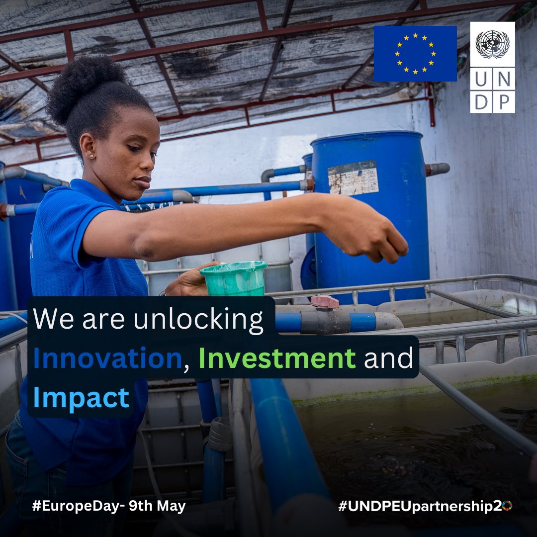 Celebrating #EuropeDay! Through the partnership with @EUinTZ under @undptz's @Funguo_Tz, 43 impact-driven startups & SMEs in 🇹🇿 have been supported. Funding these initiatives nurtures impactful & scalable businesses, accelerating SDG achievement. #UNDPEUPartnership20