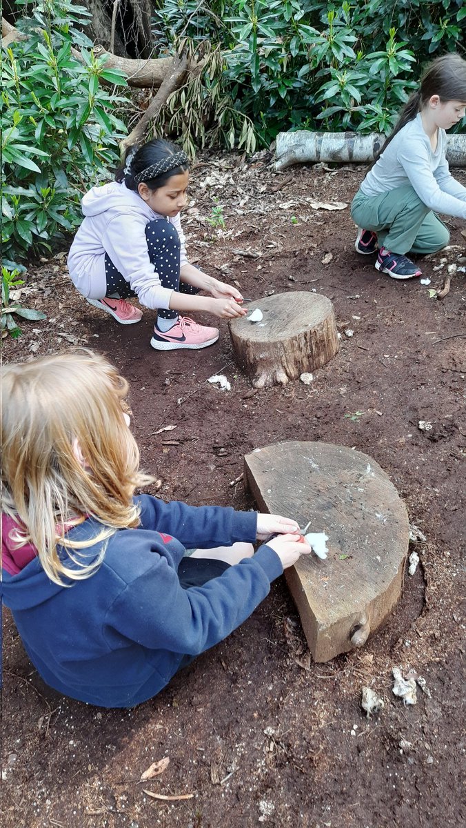 Y4@fircroft.family tweet media