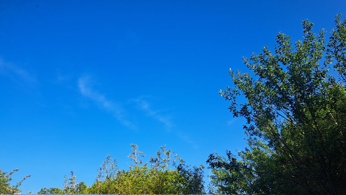 2ème jour de week-end...2ème jour de soleil ☀️ Hormis quelques cirrus, ciel immaculé de bleu pour tout le monde. La nuit prochaine, ciel pur et étoilé. Les températures max vont grimper jusqu'à 22-23°C à la Rochelle, Saintes, Royan, Mortagne, Pons, Jonzac.
