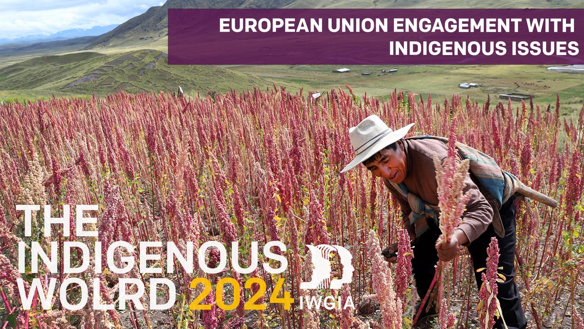 🇪🇺 On #EuropeDay, IWGIA celebrates the growing involvement of the EU in protecting Indigenous Peoples´ rights. In 2023, the #EU introduced legislation to protect #IndigenousPeoples and their territories when it comes to business and #humanrights. 👉 bit.ly/4aXCxrJ