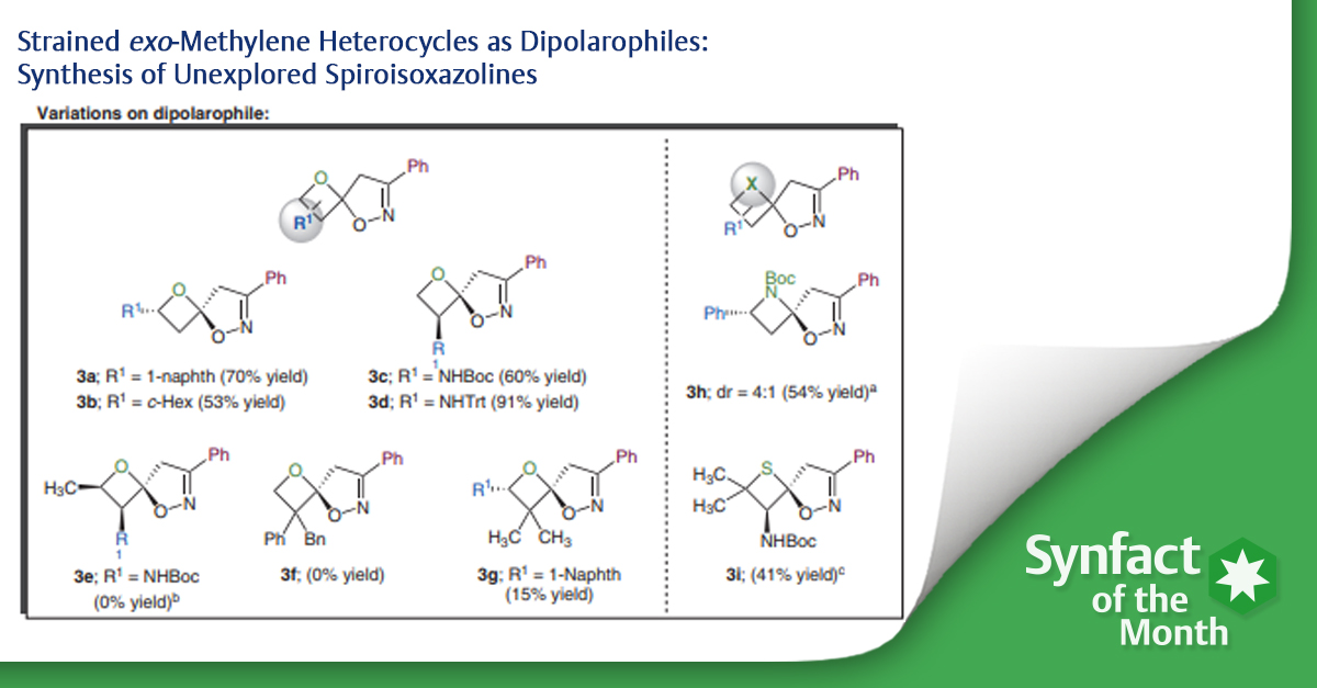 ❇️ In this Synfact of the month Mark A. Reed and Sampada Chitale (@IncParaza) highlighted the ‘Strained exo-Methylene Heterocycles as Dipolarophiles: Synthesis of Unexplored Spiroisoxazolines’ by Howell AR and co-workers from @UConn🧐 👉 brnw.ch/21wJBHw