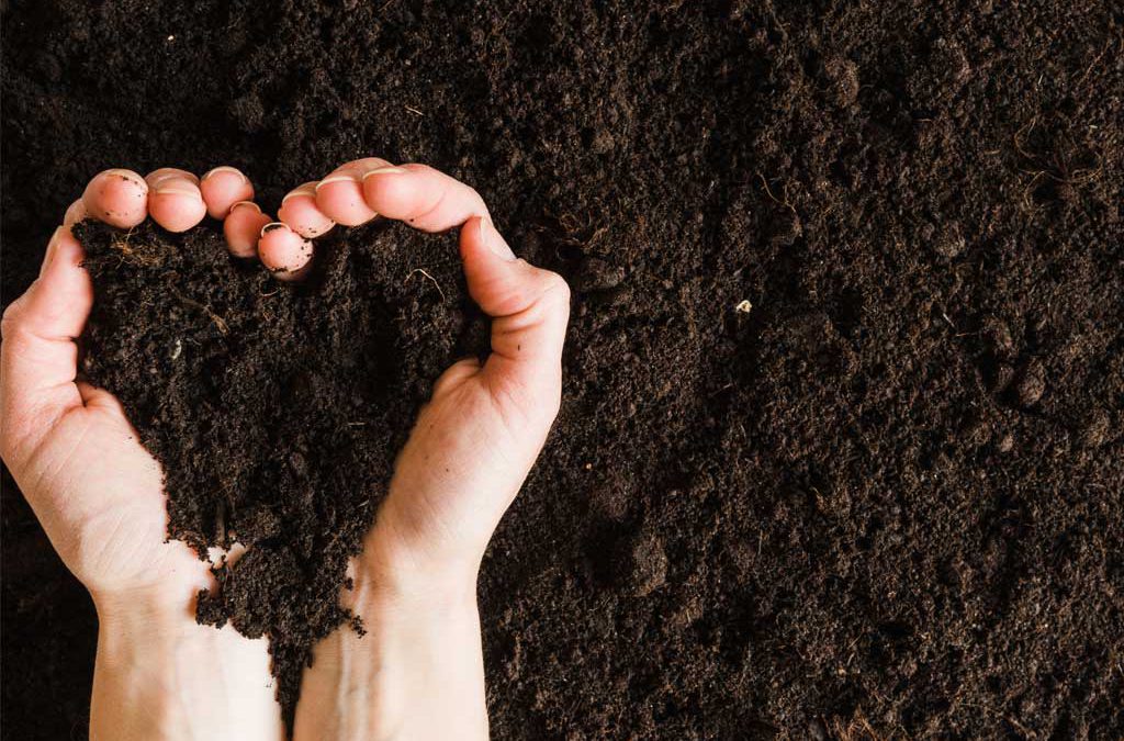 #Soil hosts many different creatures, from tiny microbes to bugs and earthworms. Good soil offers homes and food for these creatures, helping biodiversity above and below ground.

Let's protect soil and its inhabitants! 🌱

#RoburnaForest #Nature