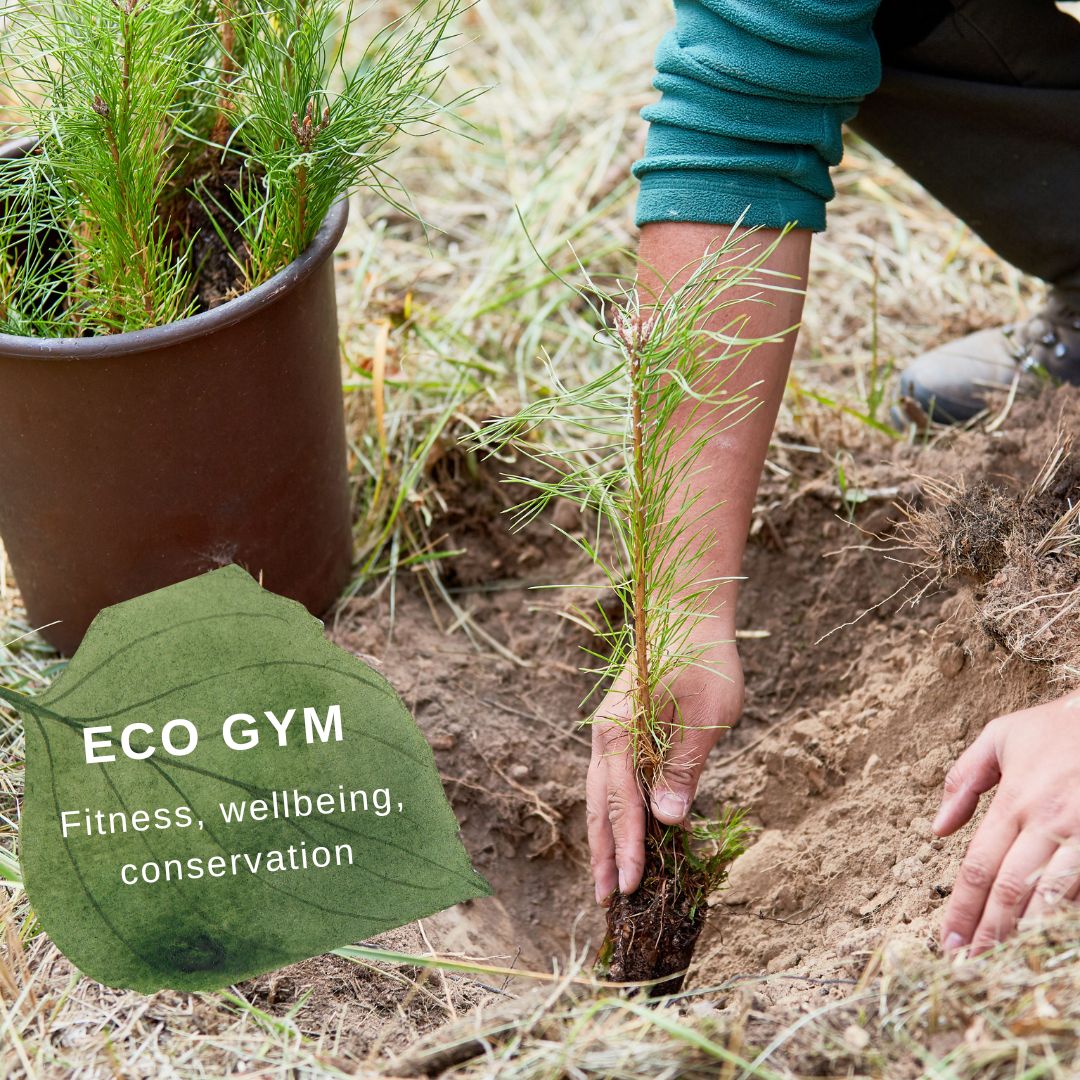 Want to give something back to nature and get more active? Eco gym is the answer, a free nature based volunteering session. Carry out seasonal conservation tasks, with a mix of gentle and more strenuous activities Free More info ow.ly/WY2350Rxg1l