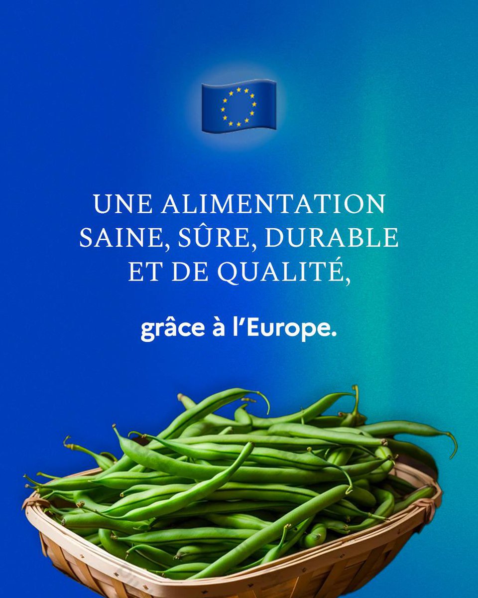 #JourneeDeLEurope 🇪🇺 Grâce à l’Europe, les consommateurs européens bénéficent : - d’une très haute exigence de sécurité, de qualité et de durabilité de notre alimentation ; - d'une alimentation accessible ancrée dans les territoires et les terroirs avec la valorisation des AOC