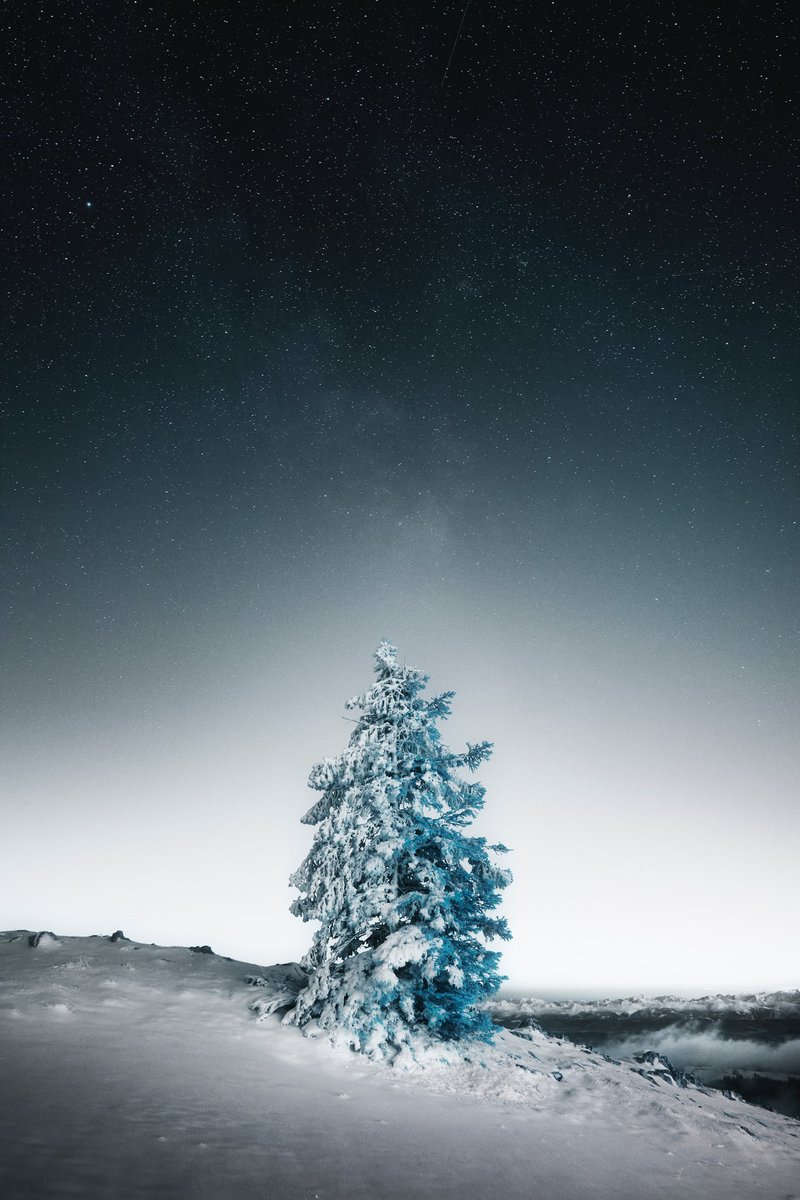 Gm from my Otherworld 📸