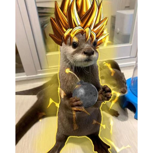 <a href="/yogurt_eth/">Yogurt.hl</a> $OTTIR Meta is next. Donating to otter conservation all over the world. This CTO team is NOT stopping 

t.me/OttirCommunity

#memecoin #Solana #CTO $Michi $Mini