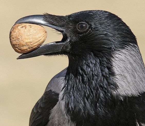 Доброе утро. Не забудьте позавтракать, если не сделали этого до сих пор!