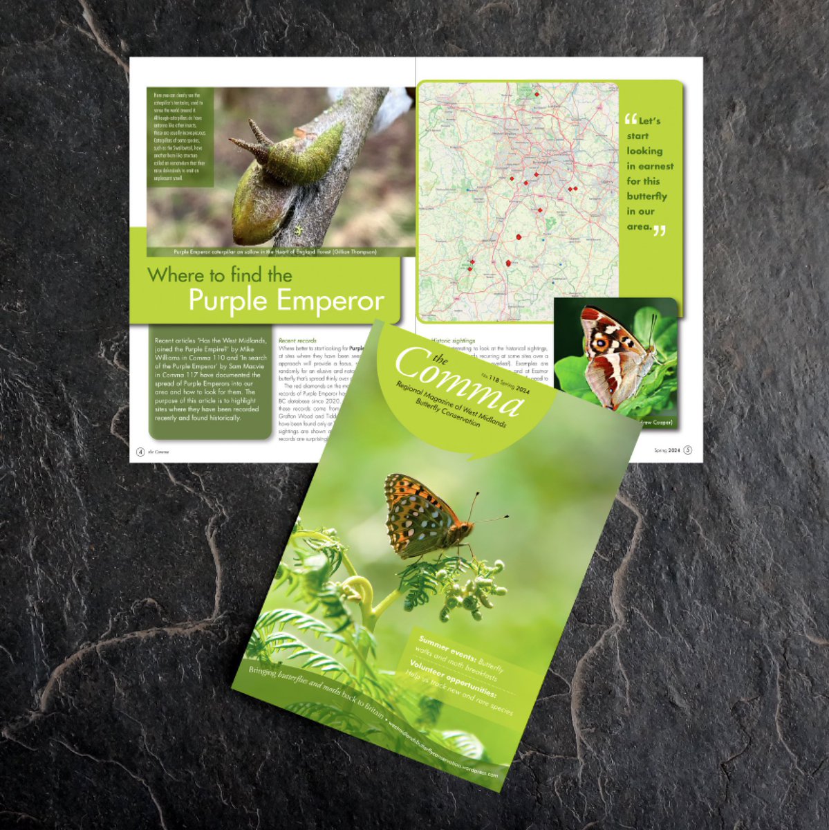 MorganCreativeT's tweet image. Have you got yours? 👇

butterfly-conservation.org/in-your-area/w…

One of my favourite jobs! I love designing The Comma magazine for @BC_WestMids

Been designing it since 2014. 

Wonderful photographs and lots of interesting articles. 

@savebutterflies @ukbutterflies @martinswarren