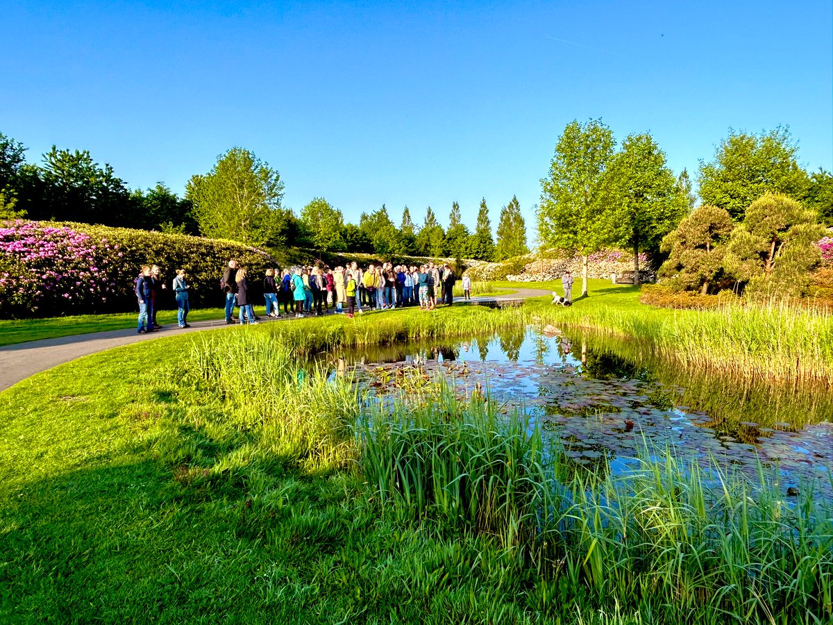 Máximapark tweet media