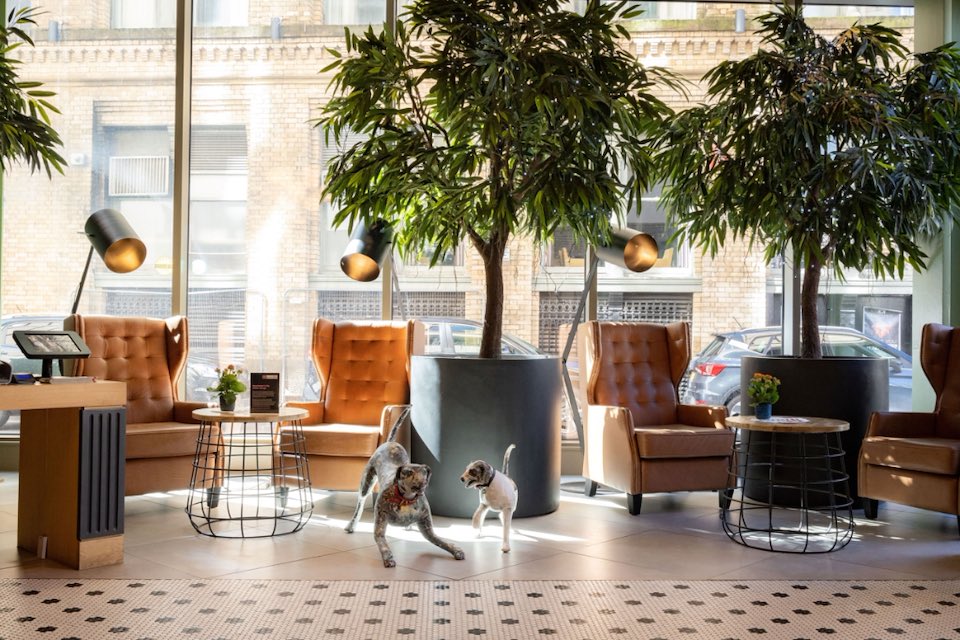 Destination Manchester ❤️

Optioning the gorgeous event spaces at @vocohotels Manchester for our client’s networking event.

Perfect city centre location and stylish, bright modern spaces ✔️

#venuefinding #manchester #events #eventvenues