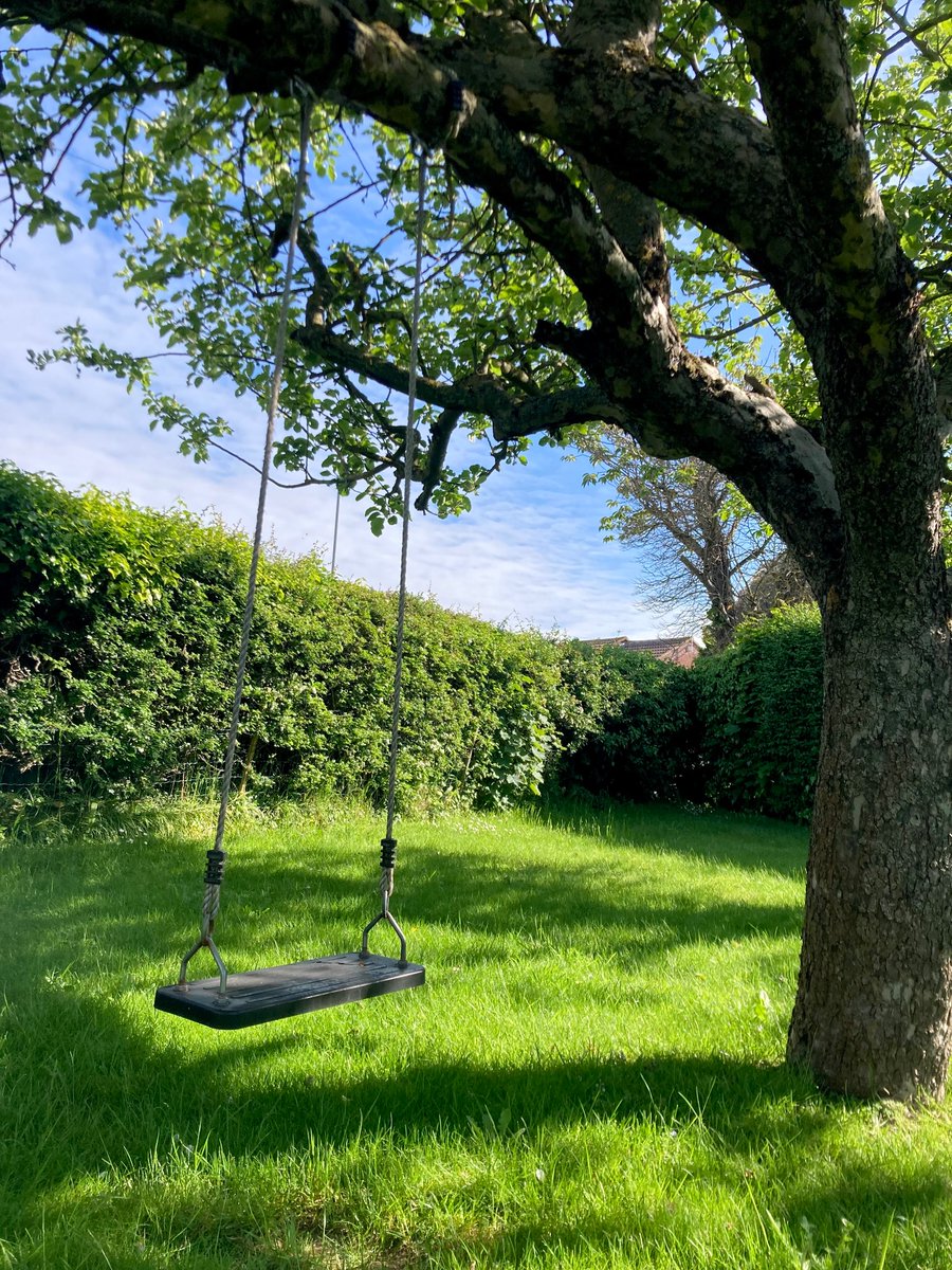 LindaWilgus1's tweet photo. Good morning #WritingCommunity! Wishing all of you a lovely sunny day. Pic is our tree swing, which I enjoy almost as much as the children #springtime #treeswing https://t.co/mGlB1VQuKO
