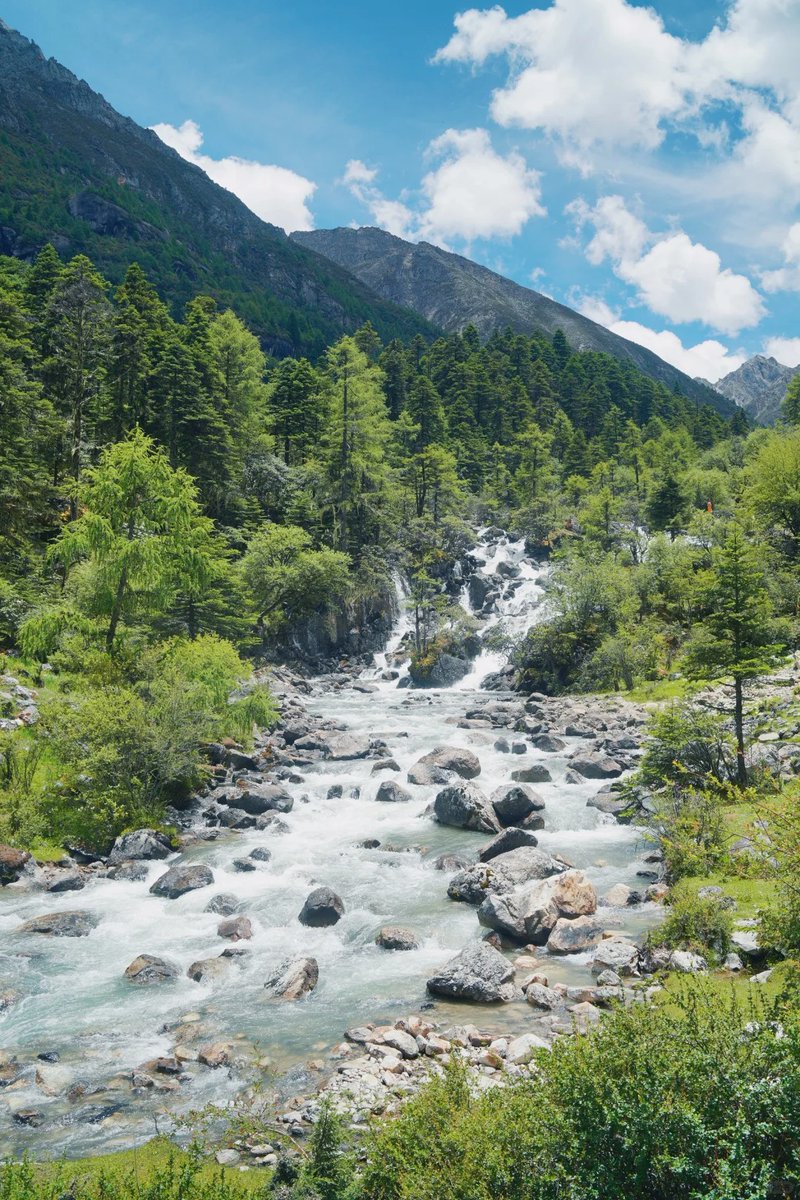 011Flopy's tweet image. In nature, nothing is perfect and everything is perfect. Trees can be bent in strange ways, and they are still beautiful.