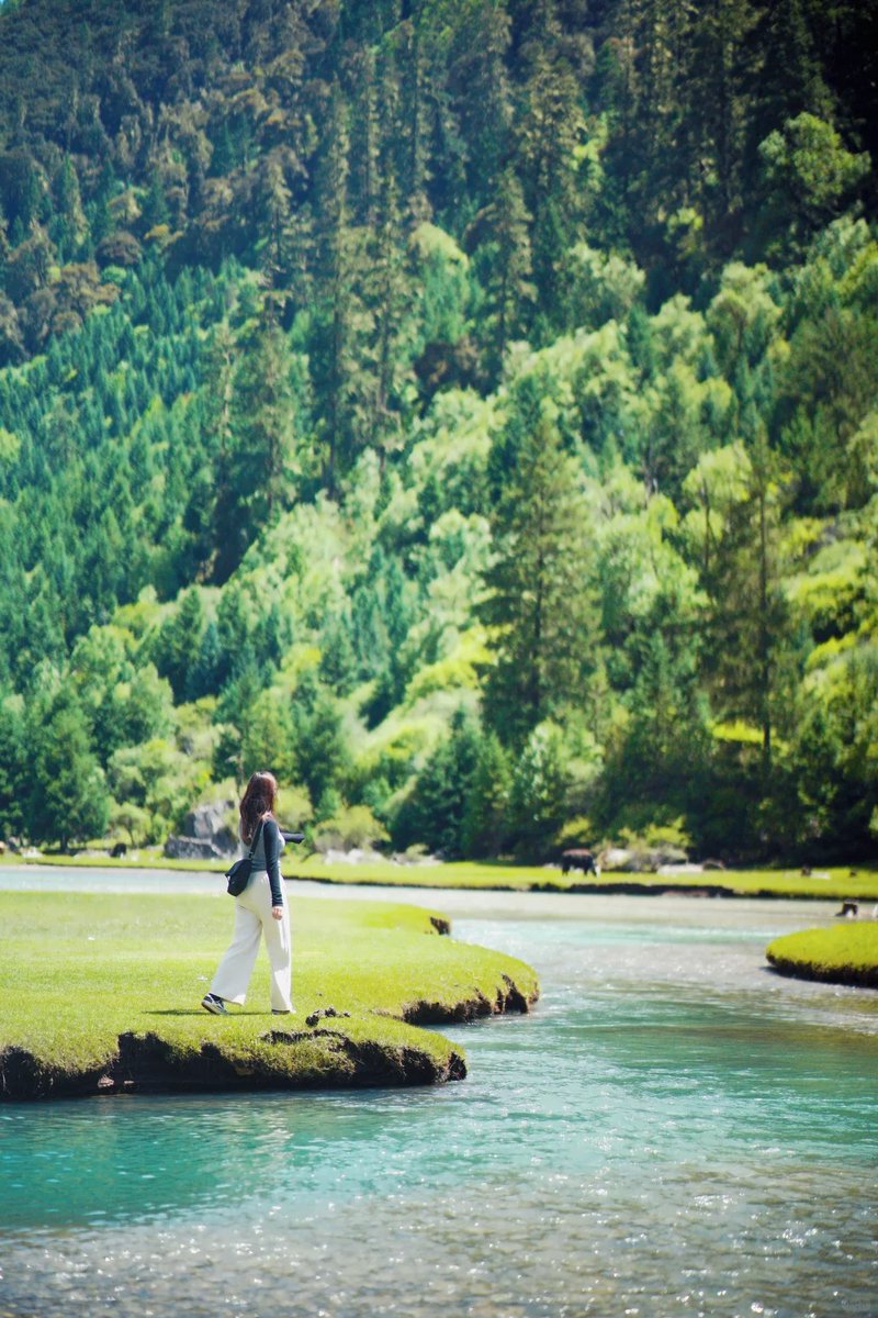 011Flopy's tweet image. In nature, nothing is perfect and everything is perfect. Trees can be bent in strange ways, and they are still beautiful.