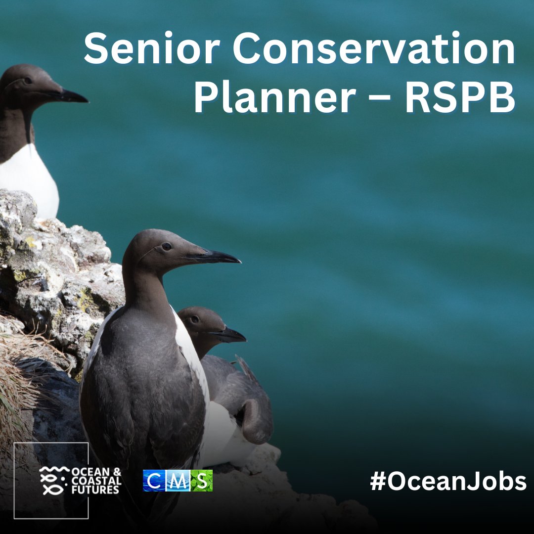🔔#job opportunity: Senior Conservation Planner – RSPB,@Natures_Voice

▪️Location: Flexible in the UK
▪️Closing: 26 May
▪️Salary: £38-£41k
▪️Full details here 👉 cmscoms.com/?p=39123

📩Sign up for our #OceanJobs email alerts here 👉 bit.ly/3MiyV7i
#vacancy
