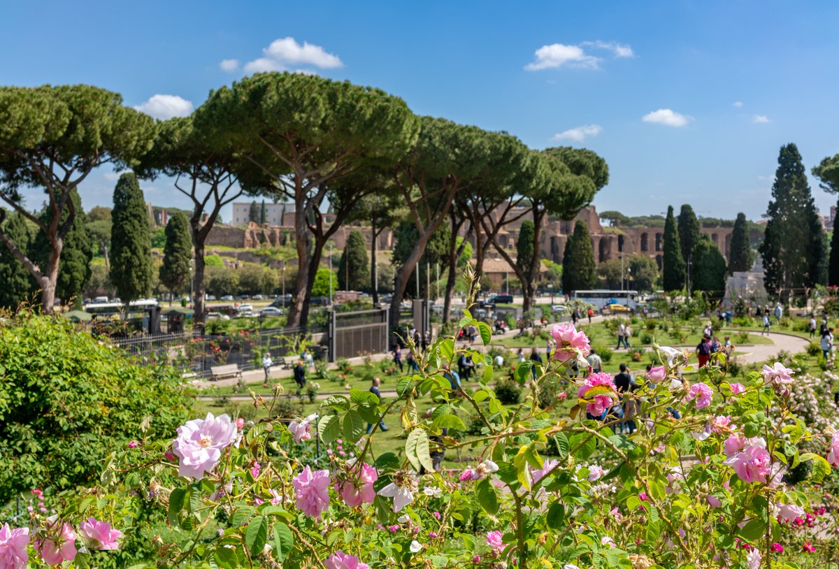 Located along the slopes of the Aventine, Rome's rose garden hosts a collection of approximately 1200 roses from all over the world. A unique botanical heritage that is worth admiring. 🌹

#47boutiquehotel #rome