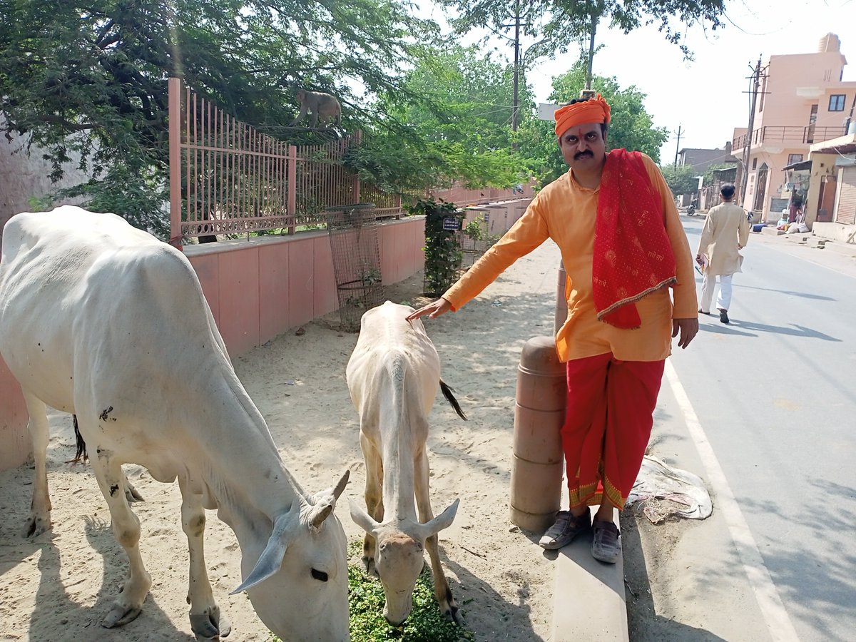 Today 9-5-2024 Goseva at Vrindavan - Seshapaavan Swamiji
youtu.be/vrmSFPdY66s
Contact:-7416108156(Googlepay,Phonepay,WhatsApp)
#paavanashram #paavantrust #seshapaavan #vrindavan #goseva #fooddistribution