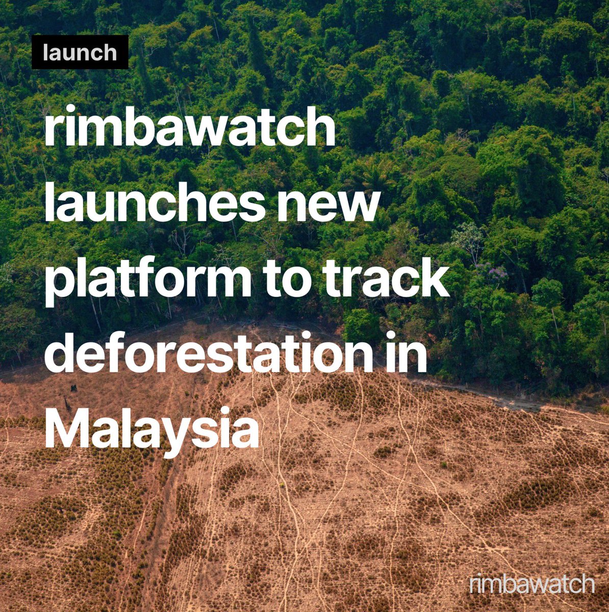 Today, RimbaWatch launches the 'Forest Tracker' platform, which is a one-of-a-kind interactive platform that allows users to track past and projected deforestation in Malaysia. 

To view the Tracker, go to rimbawatchmy.com