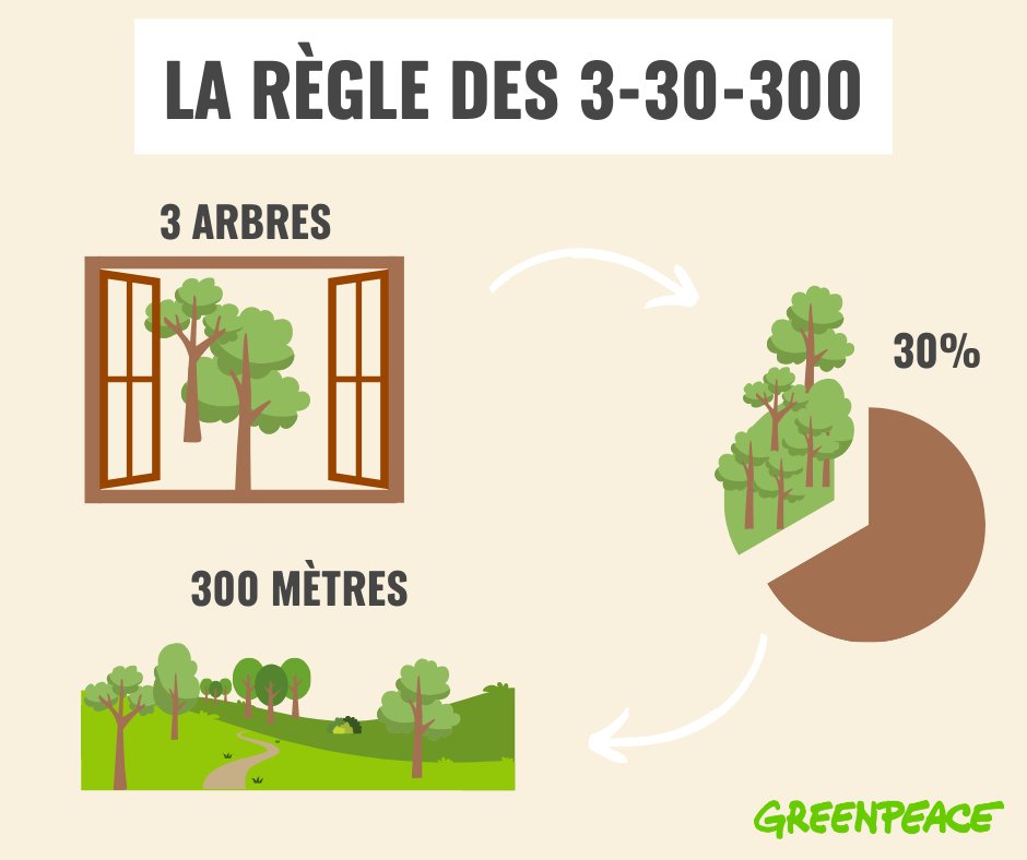 Connaissez-vous la règle des 3-30-300 ? Chaque personne devrait voir 3 arbres depuis son domicile, son quartier devrait contenir 30 % de canopée, et devrait résider à 300 mètres d'un parc ou d'un jardin.