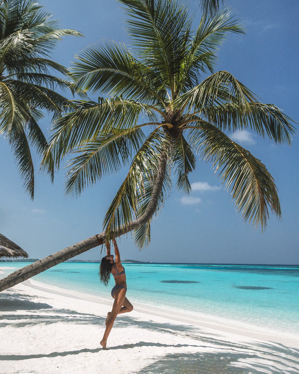 Four Seasons Resorts Maldives tweet media