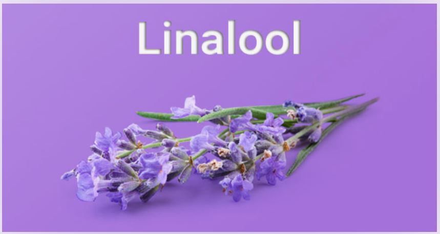 Linalool finds application in the manufacturing of soaps, fragrances, food flavorings, home goods, and insecticides.

Know more: tinyurl.com/mtdun3fb

#linalool
#essentialoils
#naturalingredients
#aromatherapy
#fragrances
#cosmetics
#personalcare
#naturalproducts