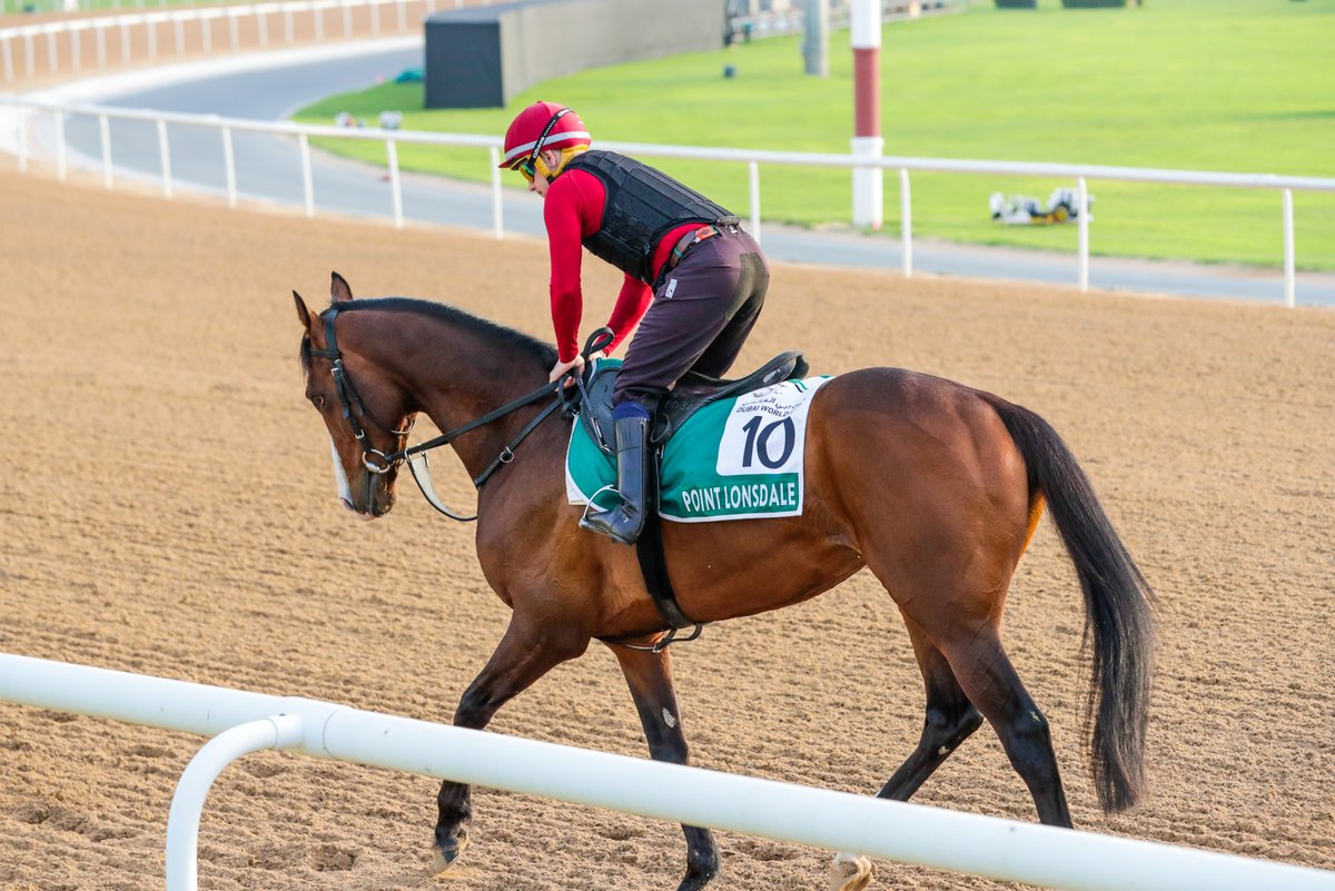 Good luck today, ENEMY and POINT LONSDALE ☘️ The two #DWC24 visitors clash in the G3 Ormonde Stakes @ChesterRaces 🕕 6:40pm UAE