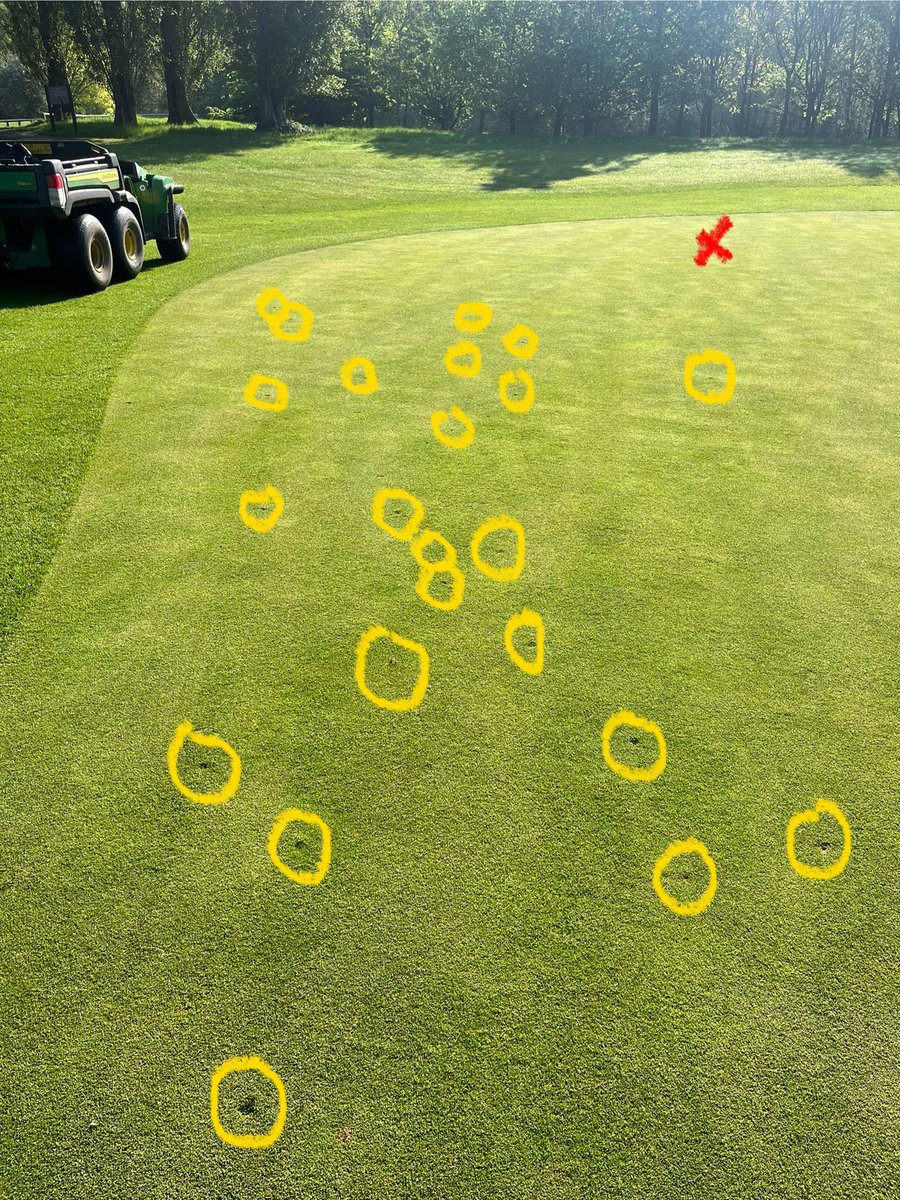 jamie c blagden tweet media