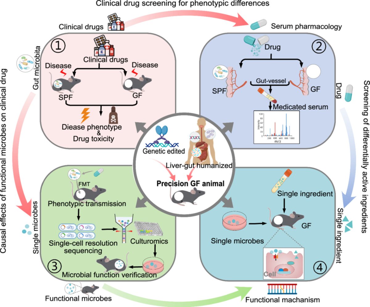 A new evaluation system for #drug–#microbiota interactions onlinelibrary.wiley.com/doi/full/10.10… #genetics #environment #metabolism #medicine #MedTwitter @wileymicrobio @WileyBiomedical @WileyHealth