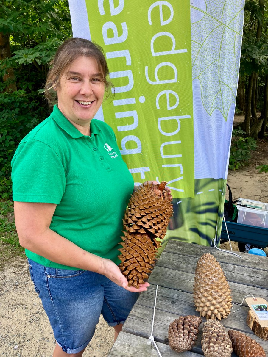 Come and find us today 11am to 5pm at the Tunbridge Wells Literary festival in Calverley Grounds for all things conifers, cones and conservation! 

@theamelia_tw @TWellsTourism 
#InternationalPlantHealthDay