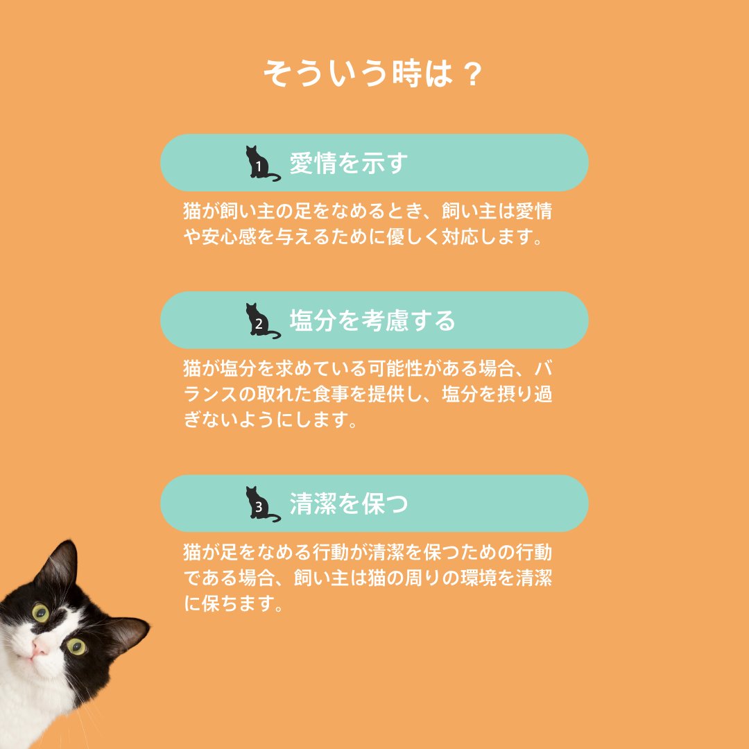 どうして猫ちゃんって足をなめてくるの…😿
その理由とそういう時どうすればいいのか、ぜひ読んでみてください！
ためになったなと思った方や猫ちゃんはいいね♡してね！

公式オンラインショップ会員登録で500円クーポン配布中🎁
awesome-store.jp