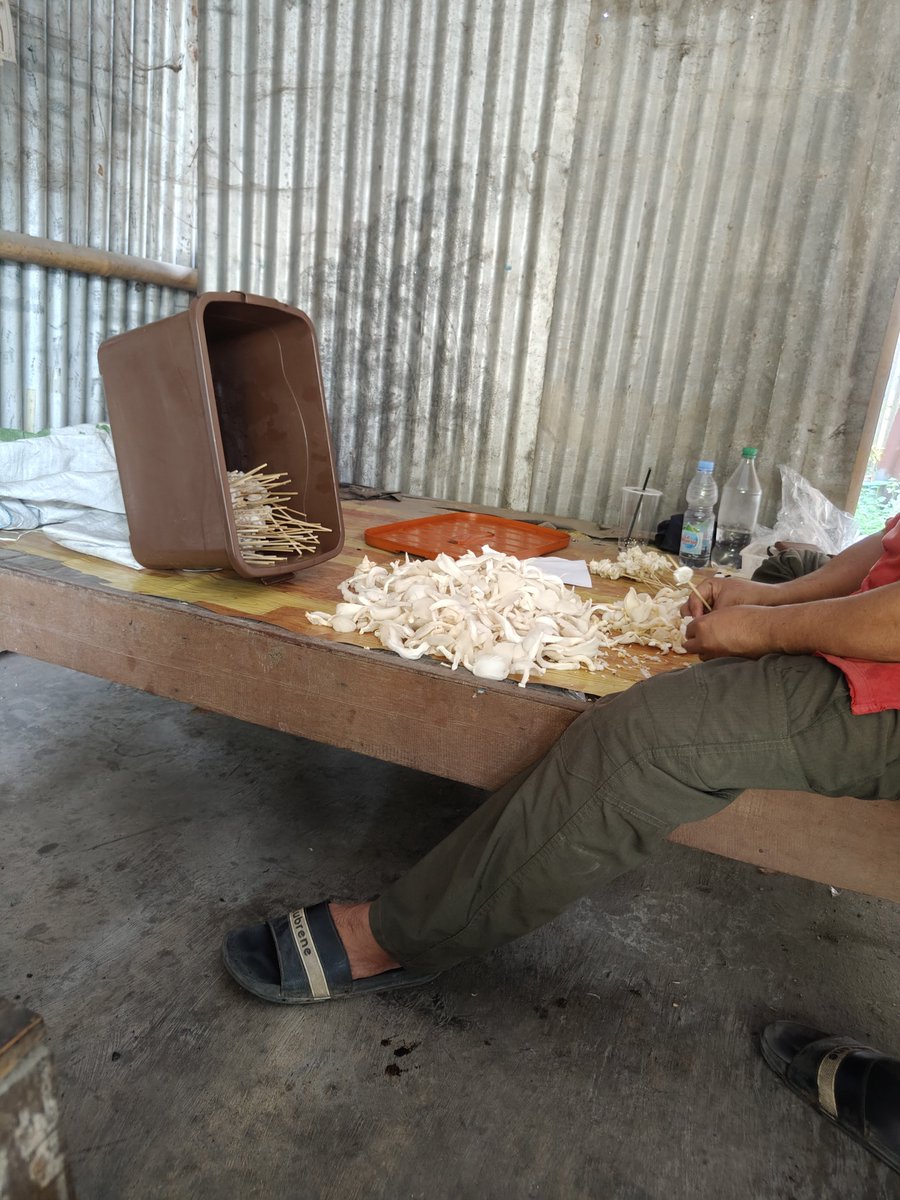 Orang Slawi, Tegal, atau yg nanti mampir ke Slawi please ramein Sate Jamur Abah Salimin.

Jualannya di warung sederhana, tp rasa sate jamurnya enak parah. Ga berasa rasa jamur, kata si abah rasanya mirip sate kambing, tp kan gw ga pernah makan sate kambing jd ga tau haha.