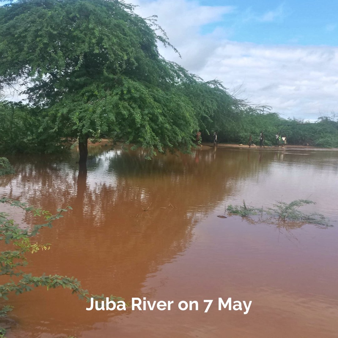 #DYK on 6 May, Doolow in Gedo Region received its highest recorded rainfall in one day since 2016?🌧️ The river level quickly rose to above high flood risk level.📈 The heavy rains affected over 10k people, damaging shelters & latrines in one IDP site.