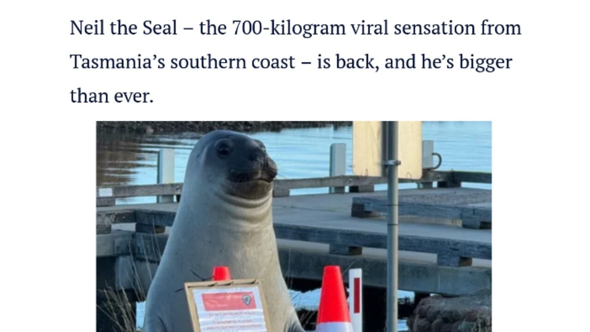 In the press - (Don't) love him to death: Tasmanian star Neil the Seal goes into witness protection ➡️ go.france24.com/la1