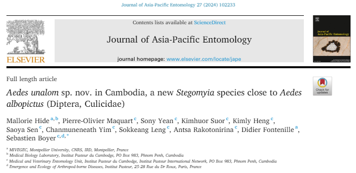 Exciting news from Cambodia! Researchers have identified a new mosquito species, Aedes unalom sp. nov., closely related to the common Asian tiger mosquito, Aedes albopictus. This discovery sheds light on mosquito biodiversity and raises questions about disease transmission.
