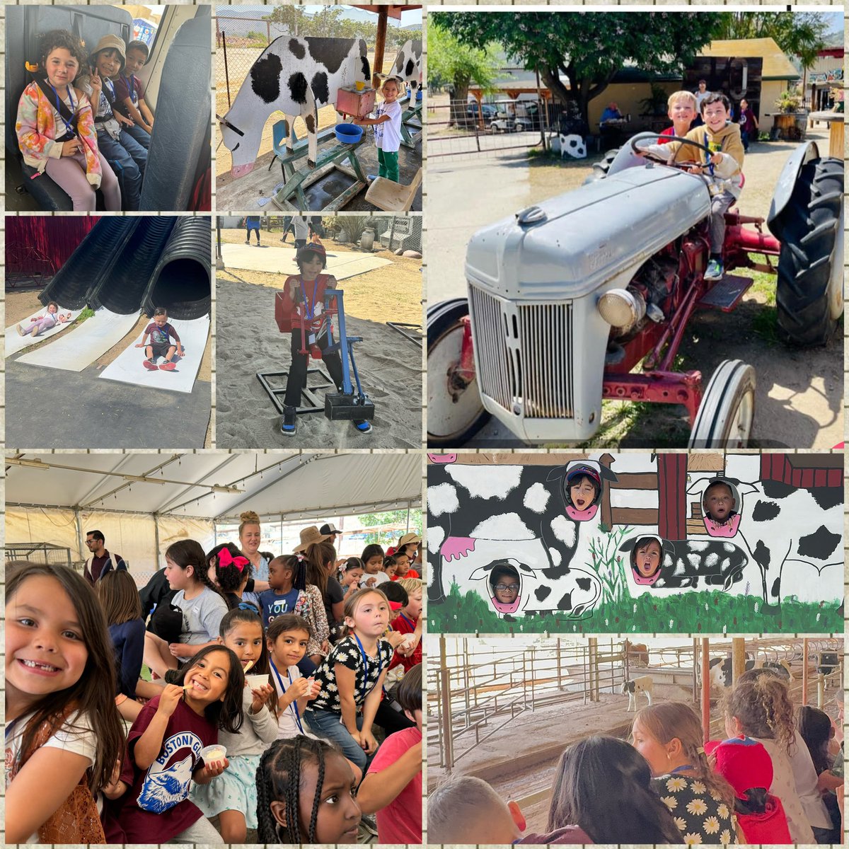 We learned all about the job of a farmer in the classroom so we had to see it in action at the farm! Saw how they milk a cow, care for baby calves, grow vegetables, and more! @CVWorldofWork @WorldOfWorkNet @BostoniaGlobal @MtraRamosR @Maestra_VRocha @CajonValleyUSD