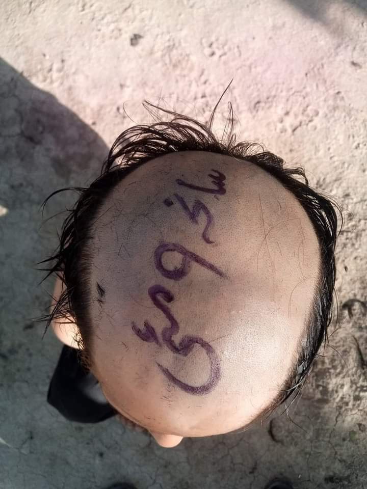 Zia Malik tweet media