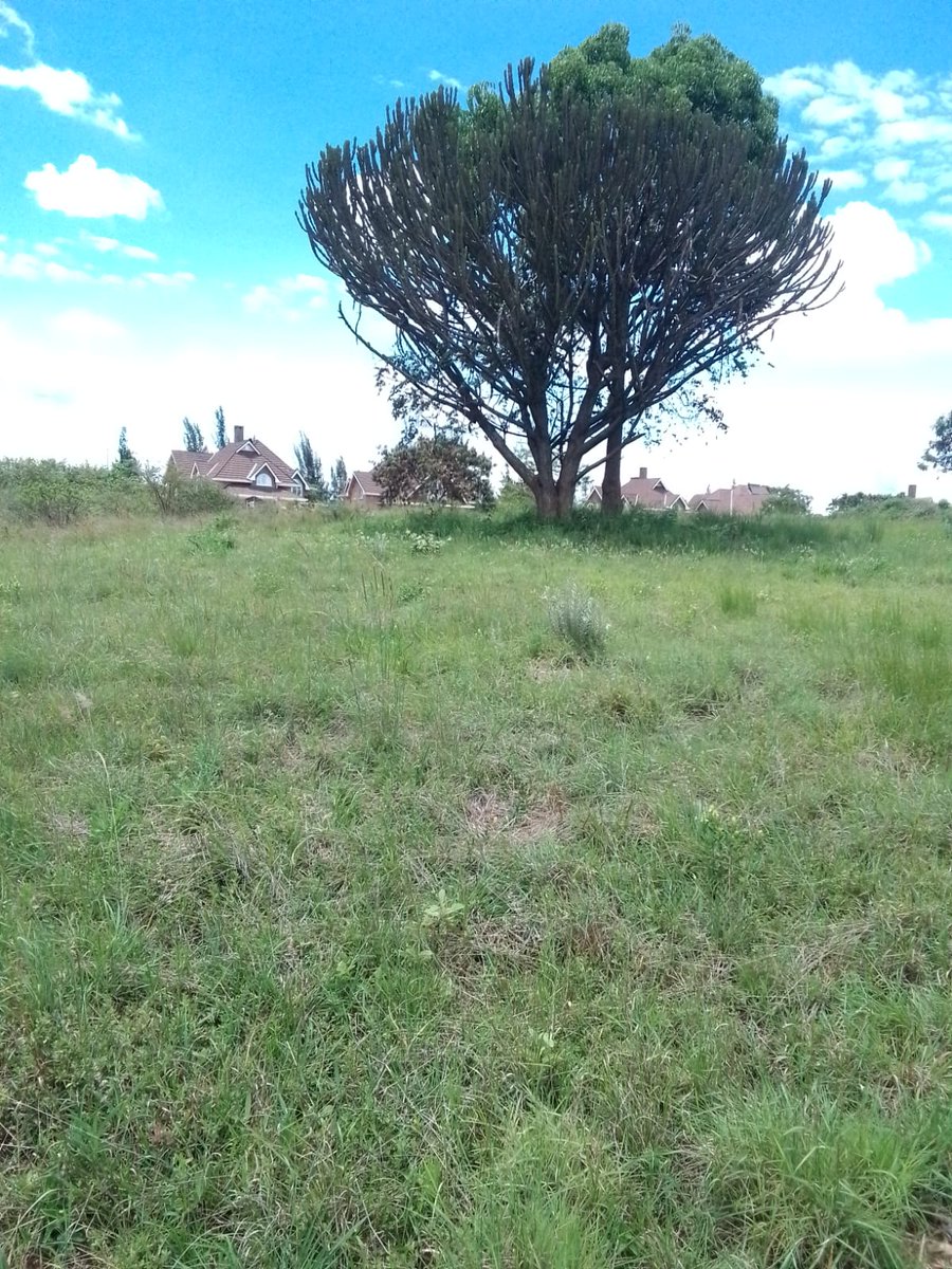 sasini_qubit's tweet image. LAND FOR SALE AT THIKA GREENS GOLF ESTATE.

This is a large plot of 0.28 acres located in the prestigious Thika Greens Golf Estate, west of Thika town.
The plot is conveniently positioned near the luxurious clubhouse and immaculate golf course.

Asking 17.5M

+254728125131
