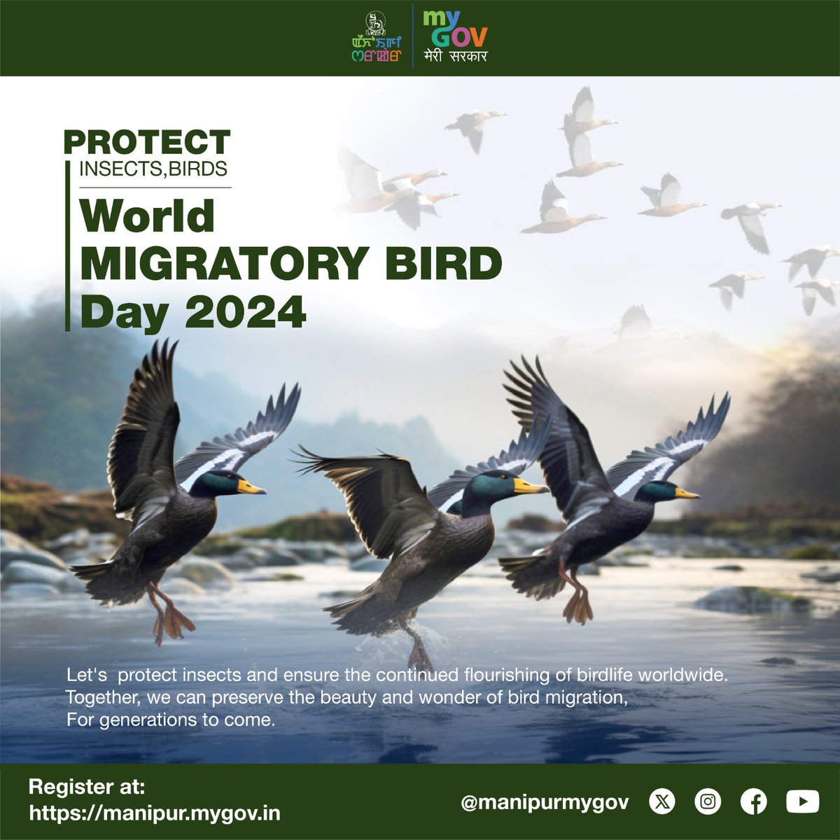 Let's pledge to take action, whether it's preserving habitats, reducing pesticide use, or supporting conservation efforts. Together, we can ensure that the skies remain filled with the sights and sounds of migratory birds for generations to come. Happy World Migratory Bird Day!
