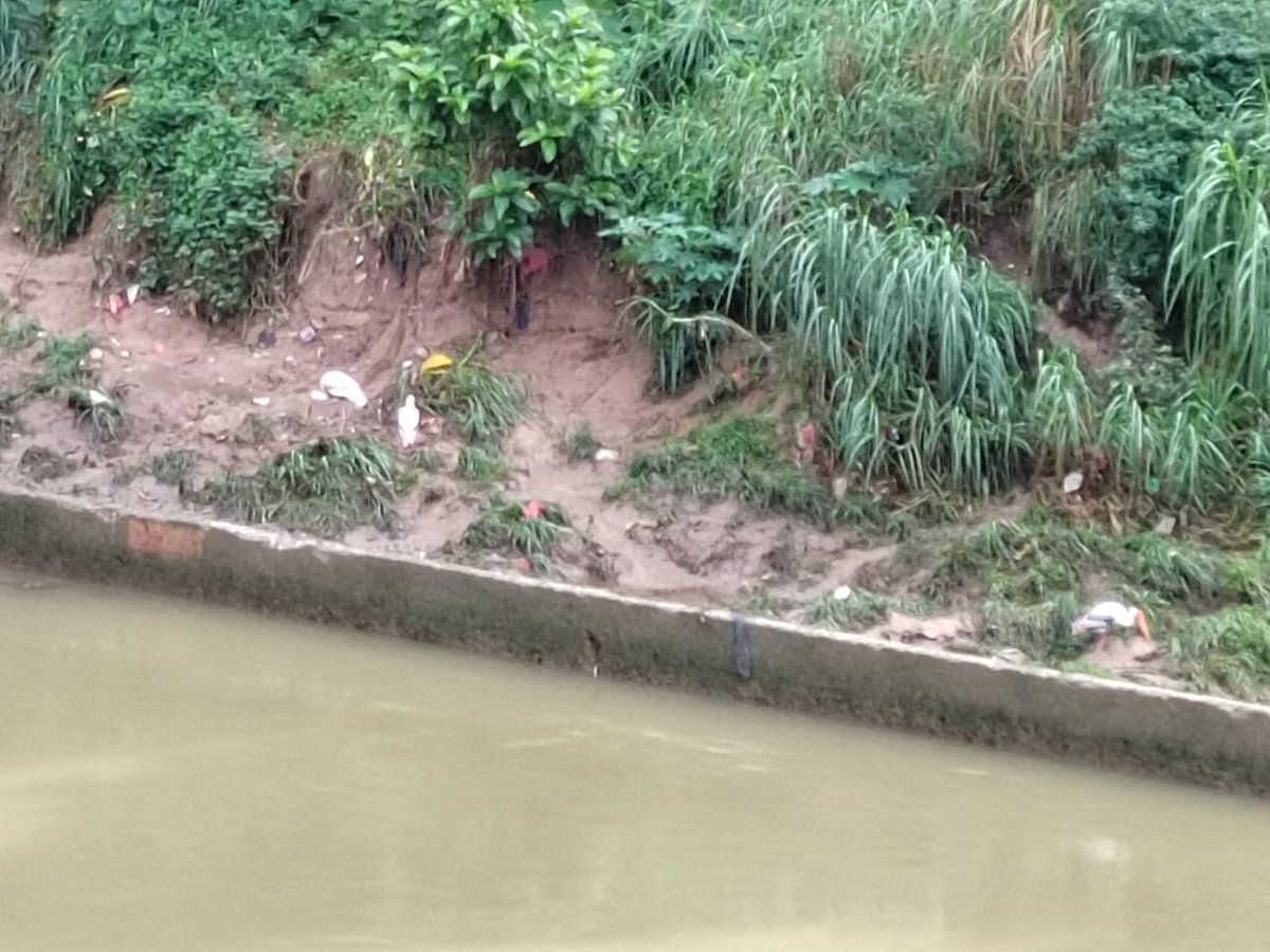 What a delightful sight! A family of otters, egrets and fishes were spotted at urban Klang River, amidst monitoring activities carried out by @FujitsuMalaysia staff and 3 community groups through a monitoring project undertaken with GEC.